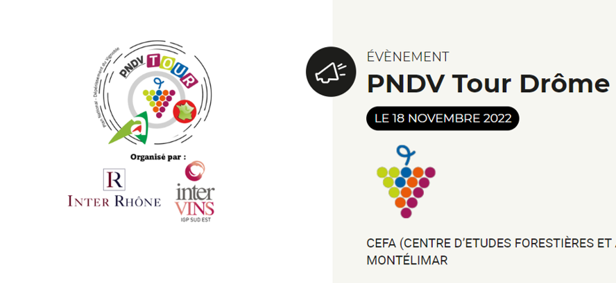 Un séminaire autour du dépérissement du vignoble en Vallée du Rhône Septentrionale