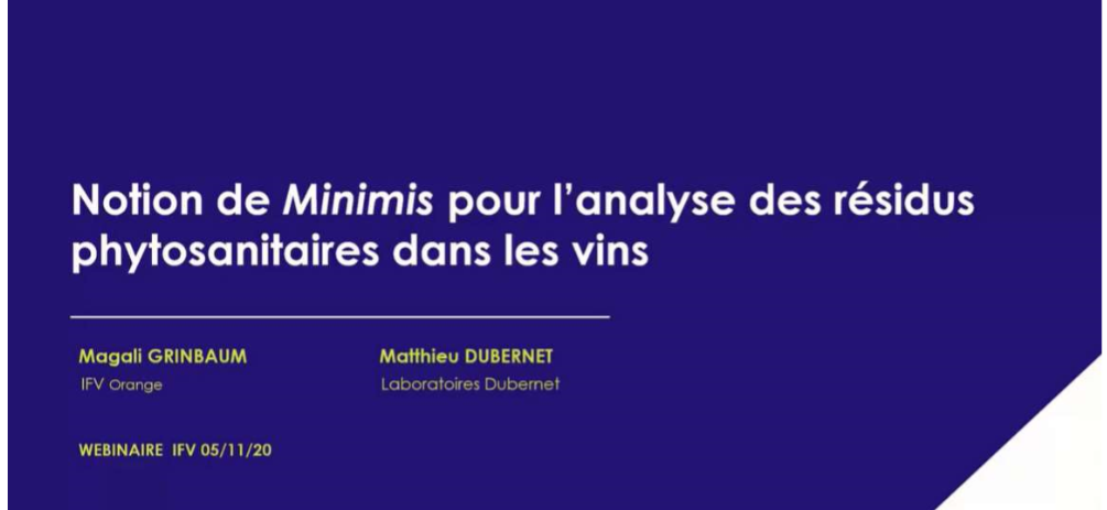 Webinaire sur les Minimis