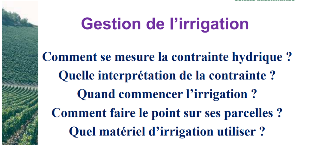 Outils de gestion de l'irrigation au vignoble