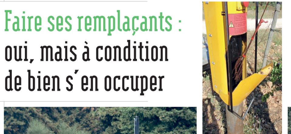 Faire ses remplaçants : oui mais à condition de bien s'en occuper