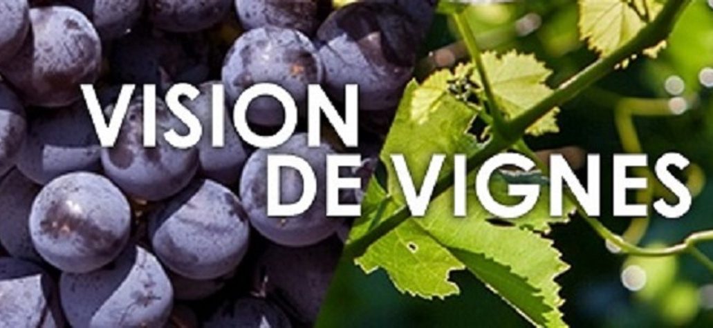 Visions de Vignes du 20/06/2024