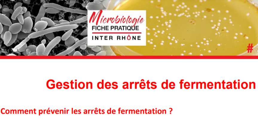 Fiche pratique : Gestion des arrêts de fermentation