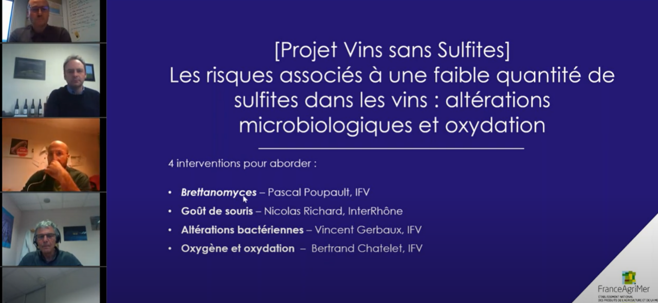 Vins sans sulfites : altérations microbiologiques et oxydation