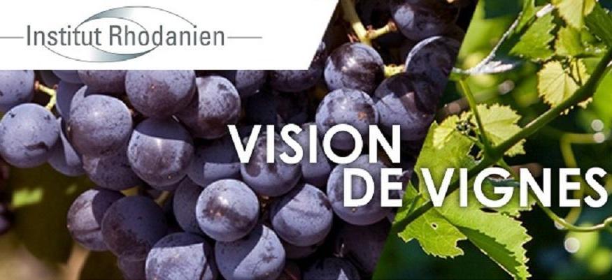 Vision de vignes 2022