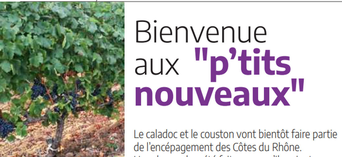 Bienvenue aux p'tits nouveaux Le Caladoc et Le Couston
