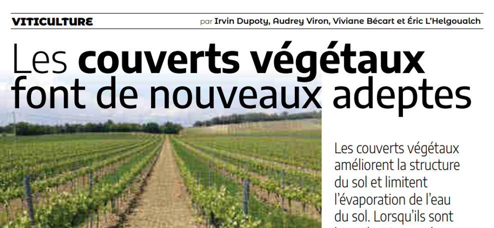 Les couverts végétaux font de nouveaux adeptes