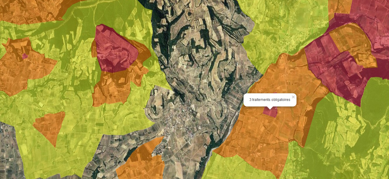 Les cartes des zones de lutte obligatoire contre la Flavescence Dorée 2024 sont en ligne !