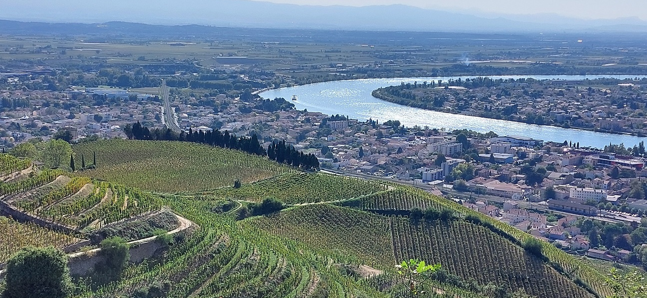 Synthèse du millésime 2025