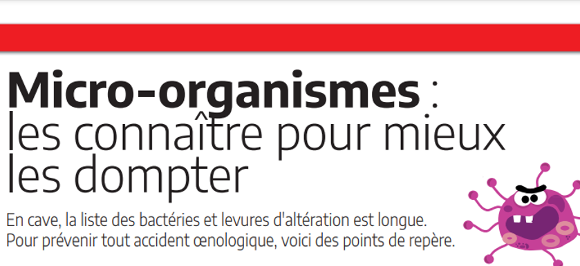 Micro-organismes : les connaître pour mieux les dompter