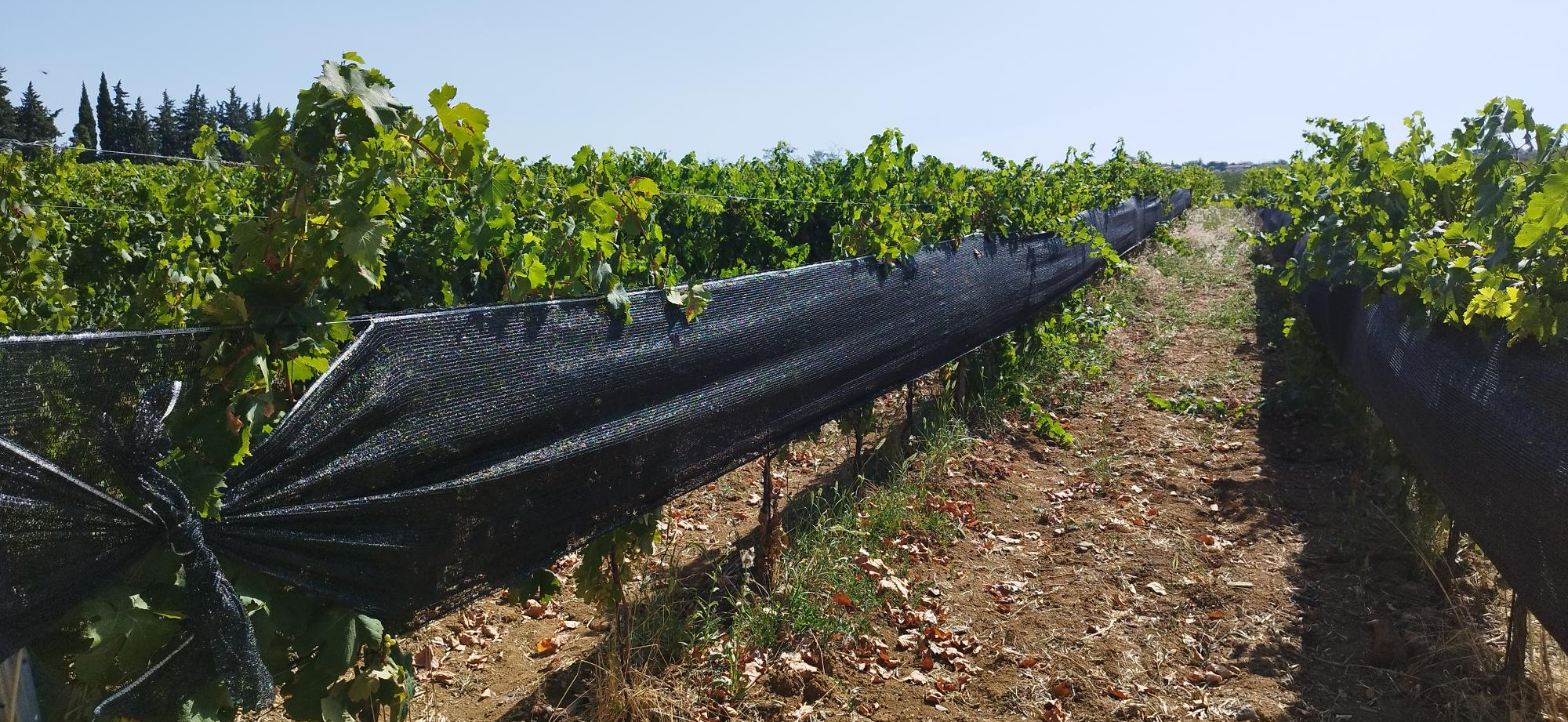 Premiers résultats du bilan carbone en Vallée du Rhône septentrionale