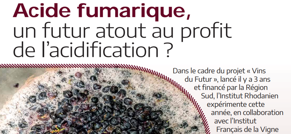 Quid de l'acide fumarique pour acidifier les vins ?