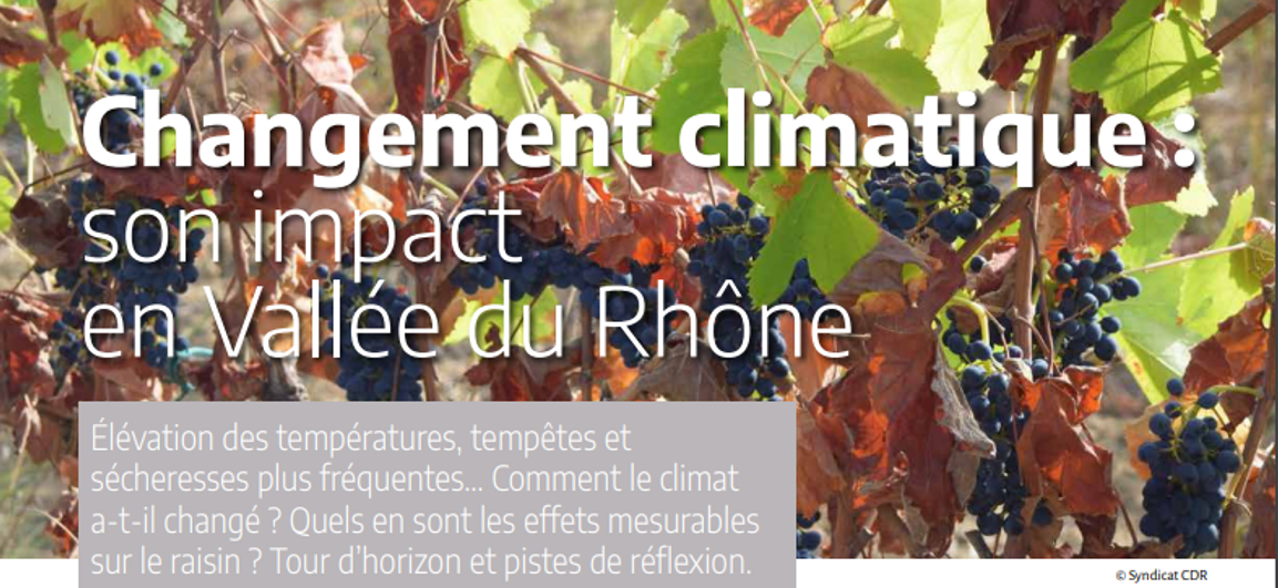 Changement climatique : son impact en Vallée du rhône