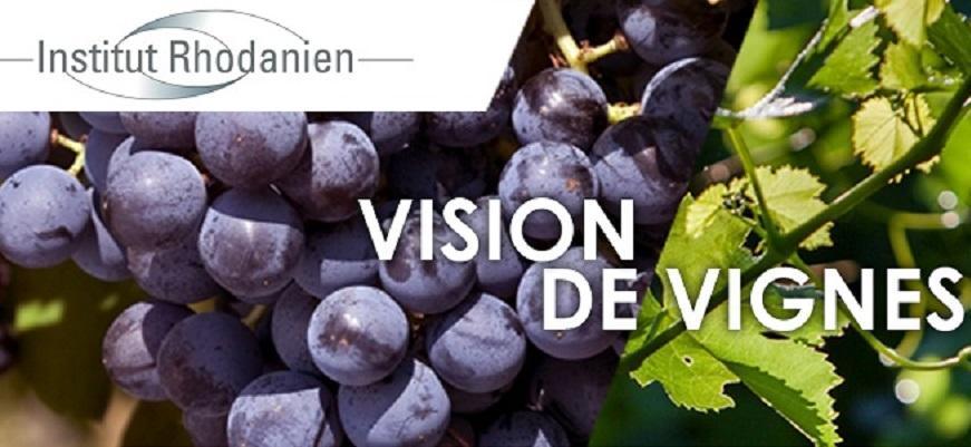 Bilan Vision de Vignes N8 au 30/11/2021