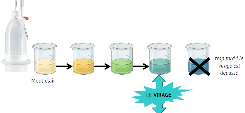 Fiche technique Réaliser ses analyses maturité de base