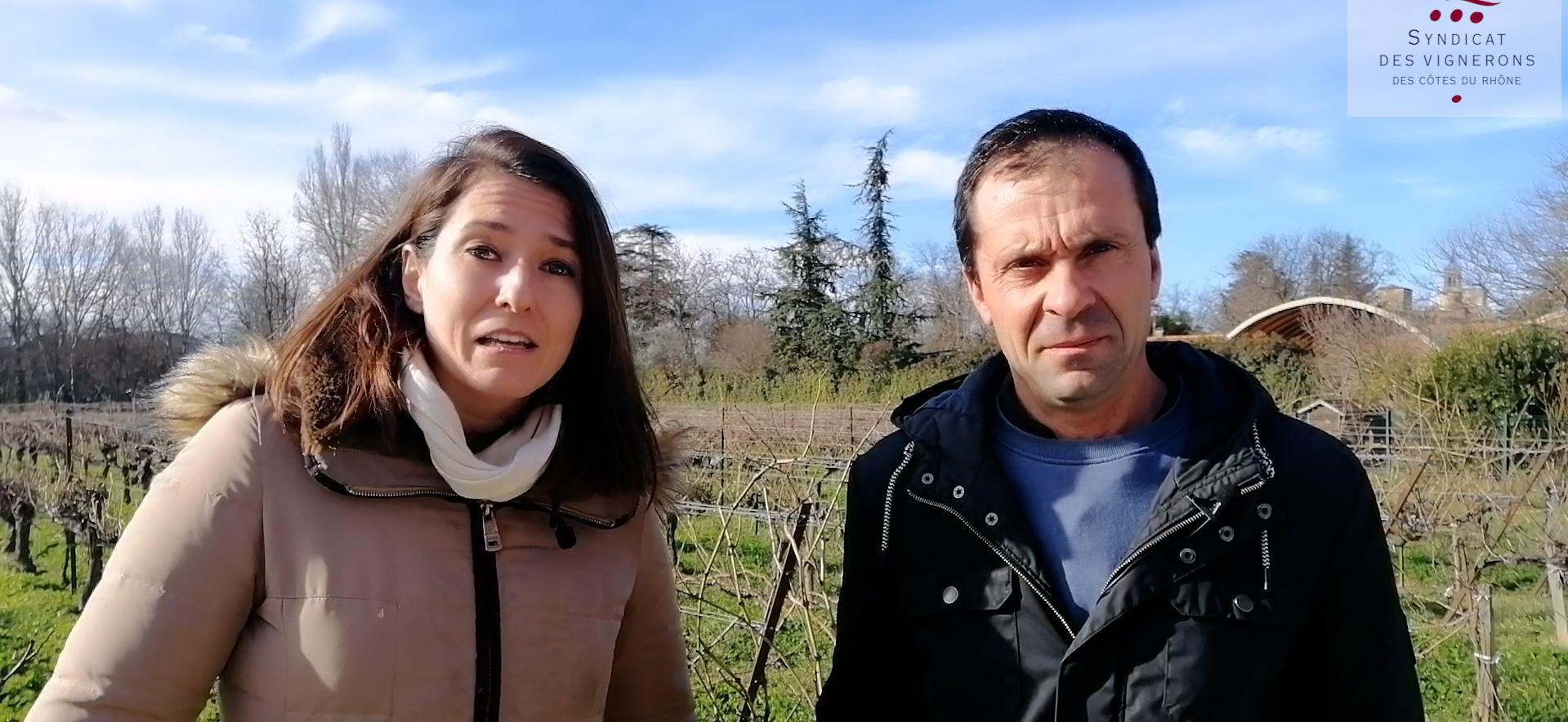 Exemple d'un vigneron utilisant le couvert végétal