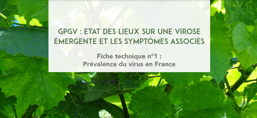 Tout savoir sur le GPGV