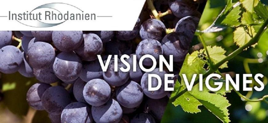 Vision de Vignes 2021