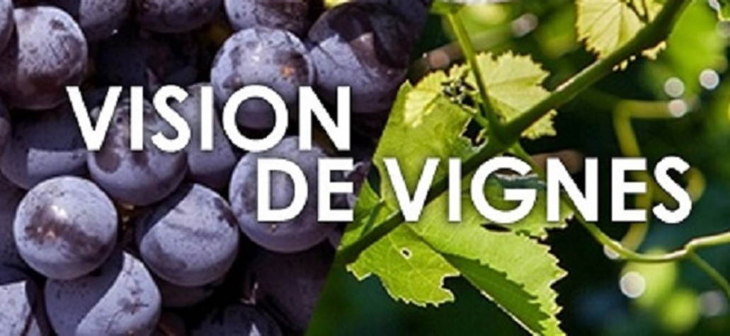 Vision de Vignes 2023