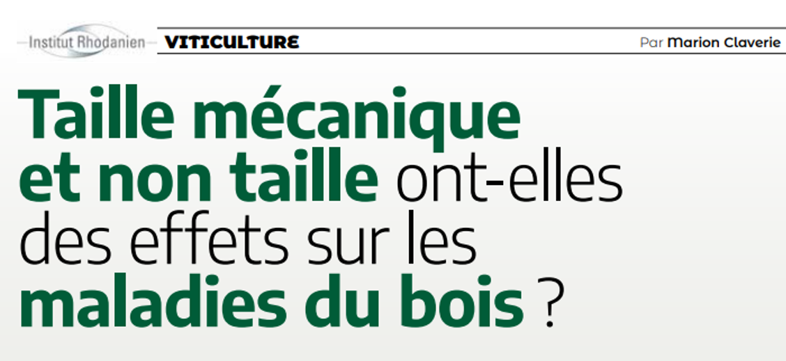 Taille mécanique et non taille ont-elles des effets sur les maladies du bois ?