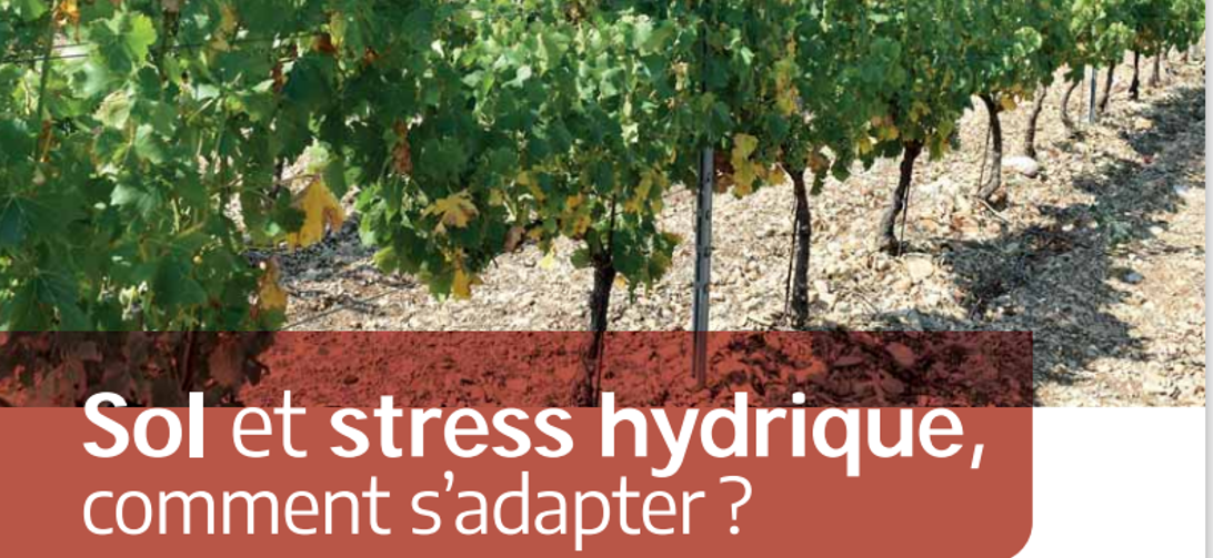 Sol et stress hydrique, comment s'adapter ?