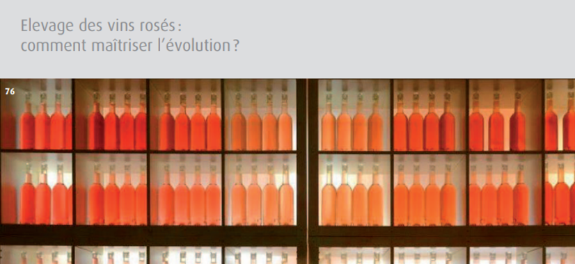Elevage des vins rosés : comment maîtriser l’évolution ?