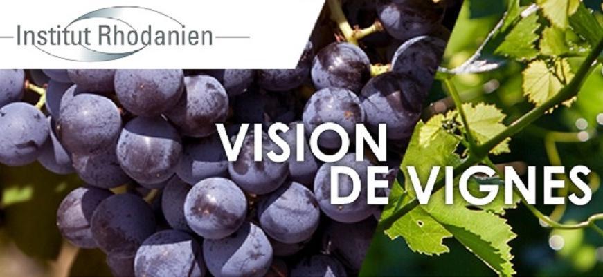 Vision de Vignes N1 au 18/08/2021